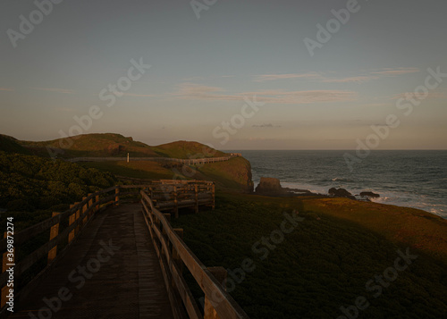 Wooden boardwalk built on the side of cliffs in Australia  in the soft evening light