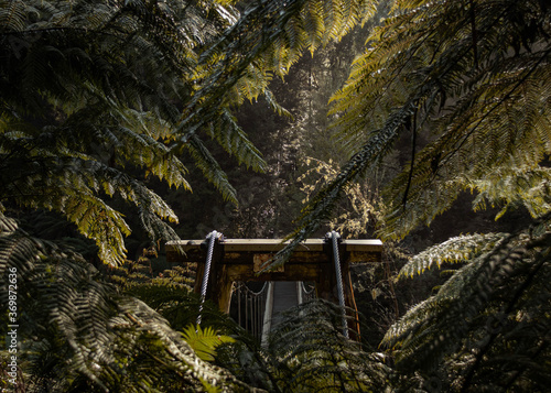 One side of a suspension bridge nested in a rainforest surrounded by a thick vegetation