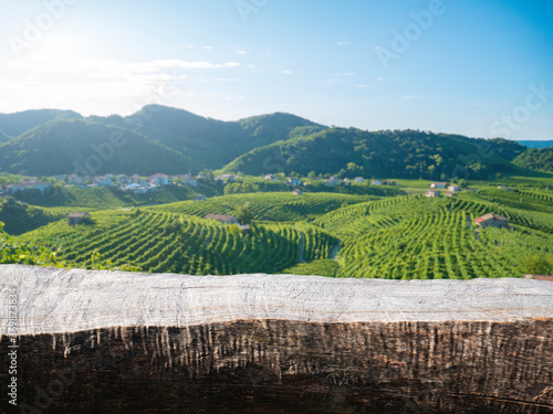 Obraz na płótnie Wood table in summer vineyard country landscape