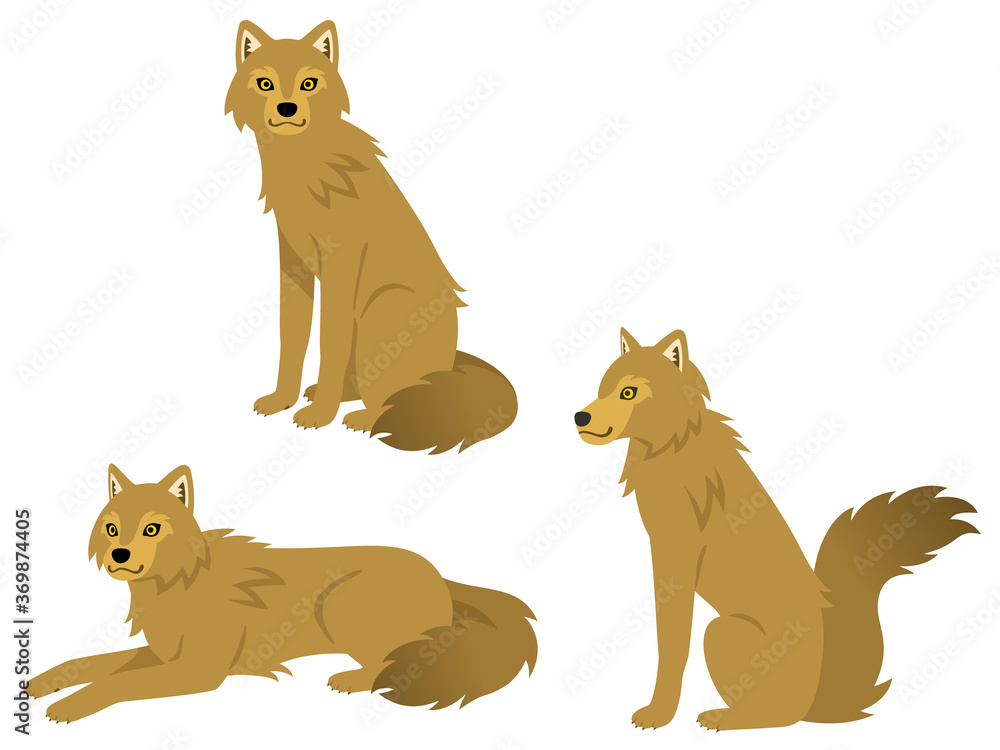 狼の全身イラストセット Stock ベクター Adobe Stock