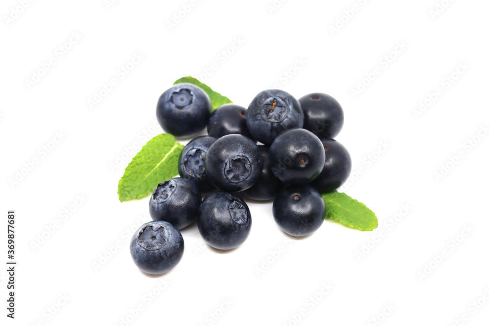 blueberries isolated on white background blueberries isolated on white background