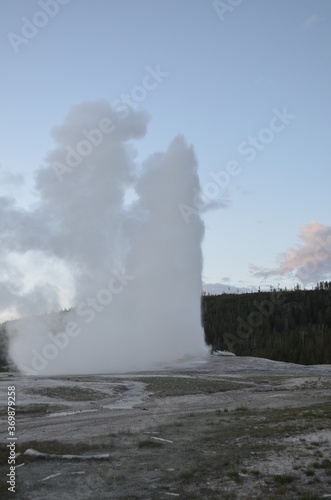 Late Spring in Yellowstone National Park: Old Faithful Geyser Eruption at Sunset in the Upper Geyser Basin