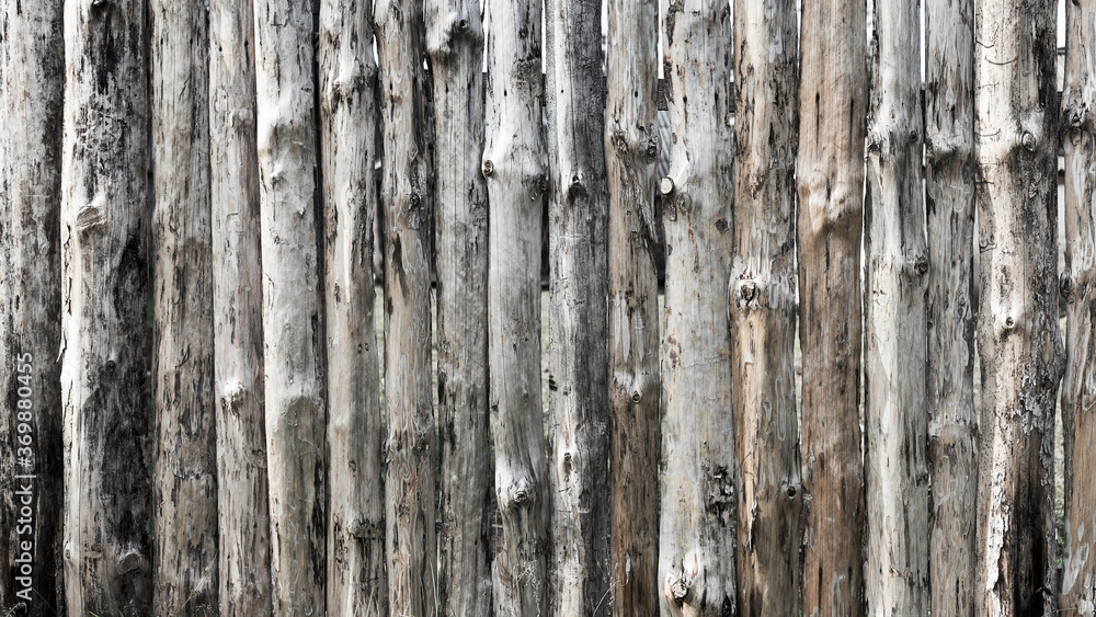 Obraz premium Background with old wooden texture for any of your design