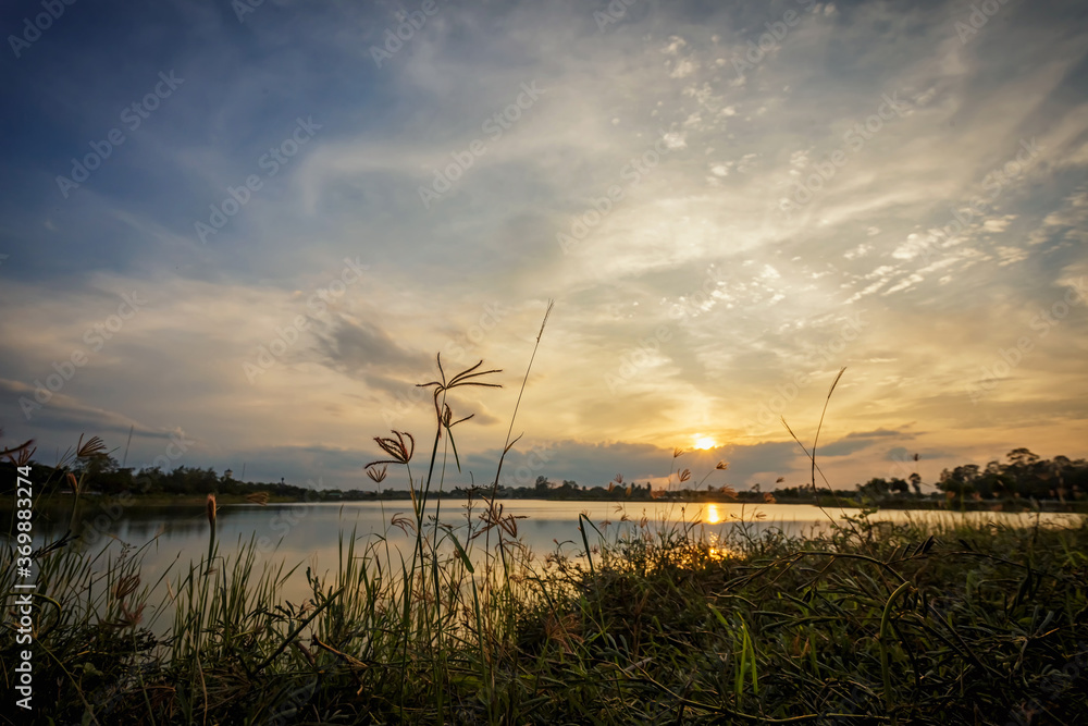 Sunset time, grass shining in the setting sun by the lake. Sunset time, grass shining in the setting sun by the lake.
