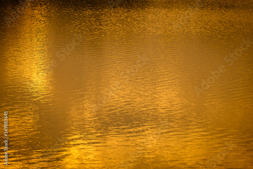 The golden light of the sun reflected on the water surface during in the sunset time.