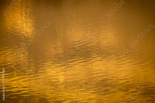 The golden light of the sun reflected on the water surface during in the sunset time.