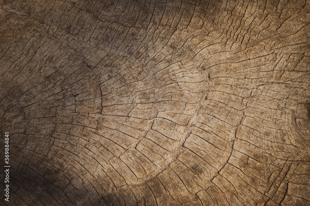 Naklejka premium Old weathered wood texture background dark brown with tree rings natural grunge pattern.