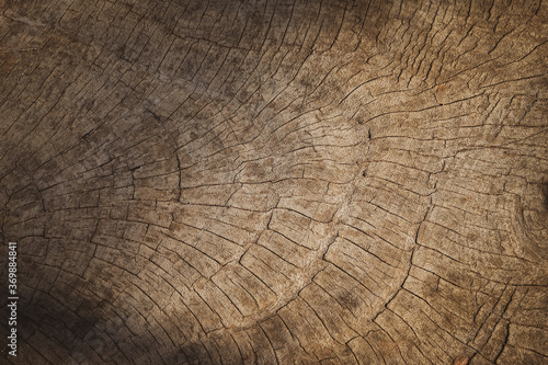 Old weathered wood texture background dark brown with tree rings natural grunge pattern.