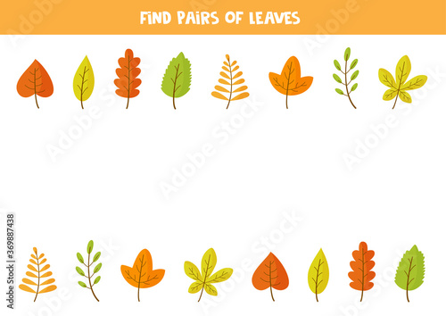 Find pair of each autumn leaf. Game for kids,