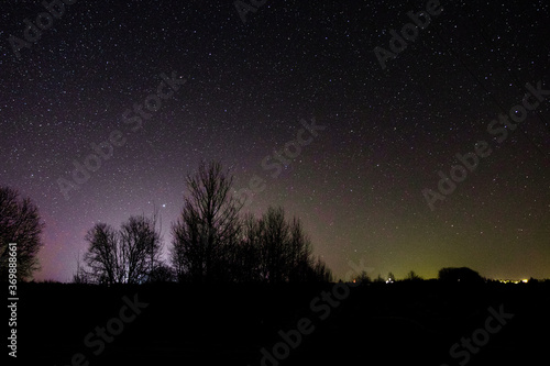 night country landscape. a sky full of stars