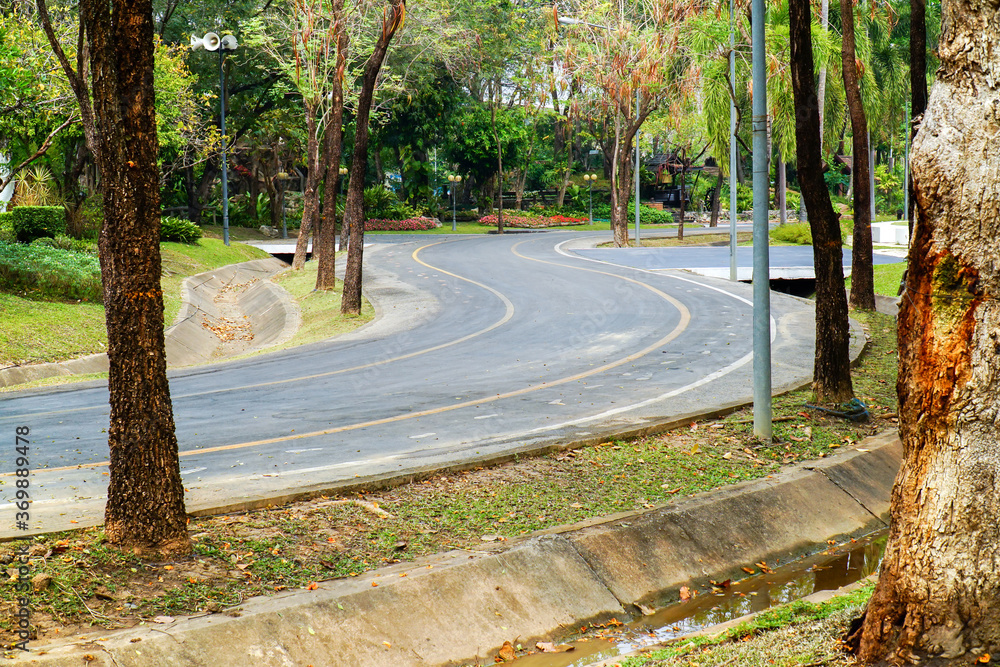 The street S-shape in public park with concrete gutters and tree surrounded background. Asphalt road S-shape style in the garden