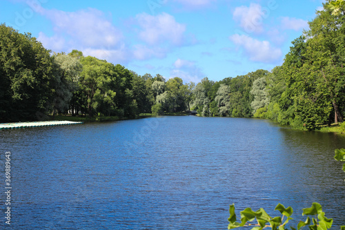  Lake Elagina in St. Petersburg park surrounded by trees against a background of blue sky with clouds