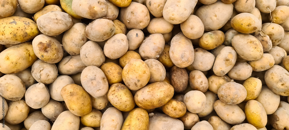 Selective focus on potatoes used to eat Selective focus on potatoes used to eat