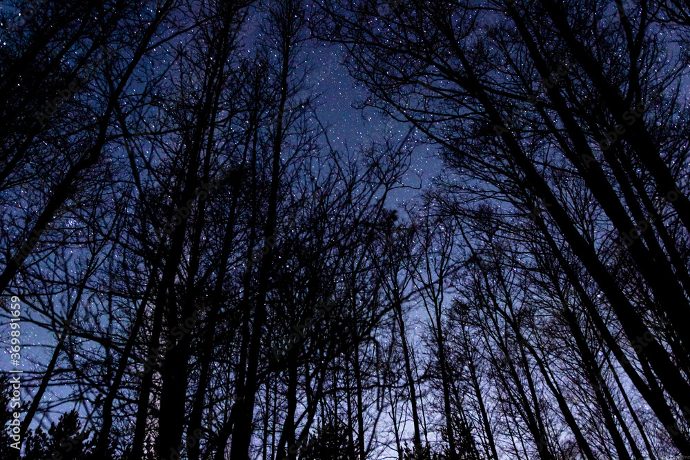 night country landscape. a sky full of stars night country landscape. a sky full of stars