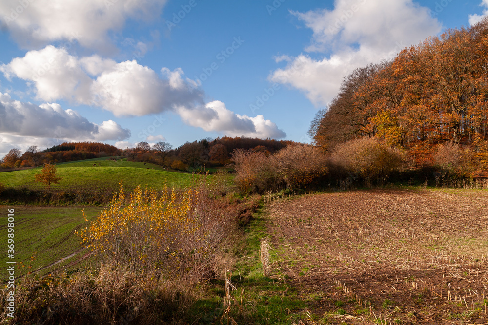 schöne Hügel und Feldlandschaft in bunten Herbstfarben