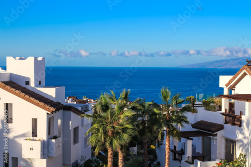 White houses among palm trees overlooking the Atlantic Ocean and La Gomera island against the blue sky © Elena