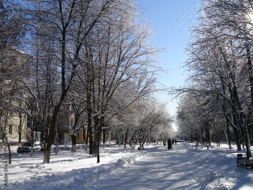 Winter frosty morning in the city. Snowdrifts along the road and large snow-covered trees.