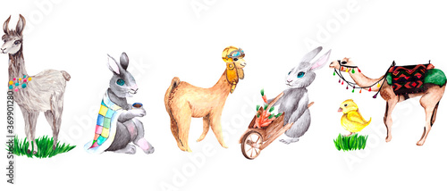 Collection of animals: rabbits, chicken, Alpaca pilot and camel isolated on a white background. Cute watercolor Pets for stickers, textiles, stationery, illustrations about the animal world.