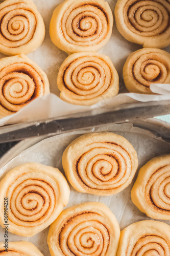 Delicious homemade raw cinnamon rolls bun dough in the rectangle shaped baking tray on the white baking paper. Top view.