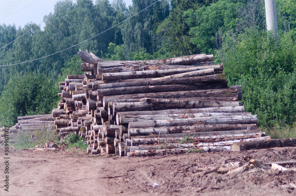Logging and timber extraction, wood Logging and timber extraction, wood