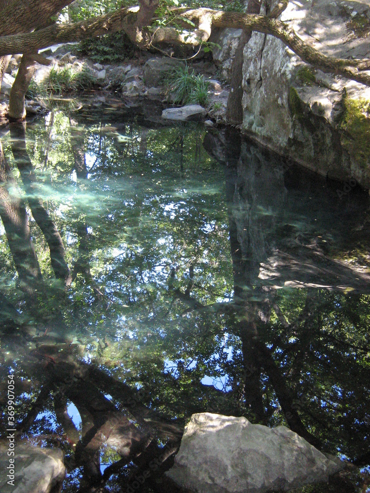 river in the forest