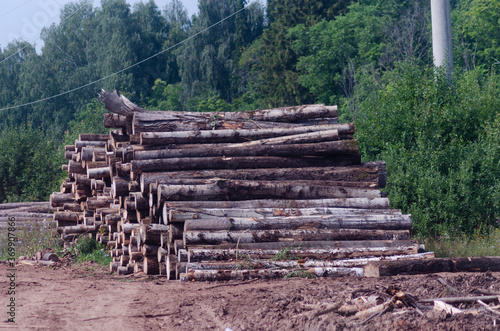 Logging and timber extraction  wood