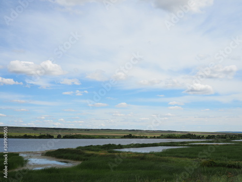 view of an agricultural meadow with two rectangular fish ponds and dark trees. © Yulia