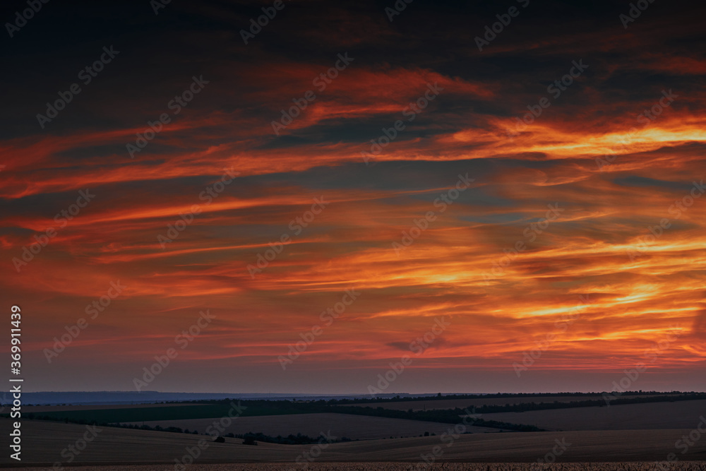 wheat field in a beautiful sunset, sunlight and clouds