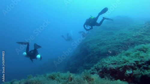Wallpaper Mural Underwater scene - Scuba divers in cloudy water Torontodigital.ca