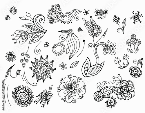 Hand-drawn set of flowers on the white background. Decorative floral pattern. Line art. Stock illustration.