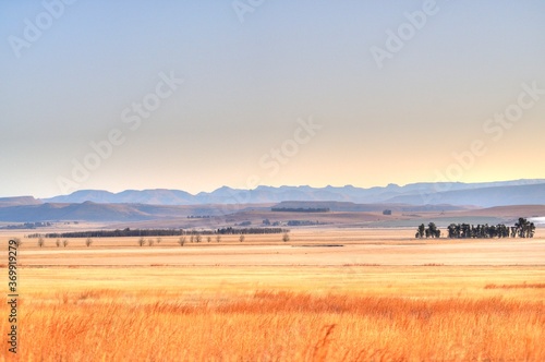 WINTER COLOURS  across farmlands and fields in the Umzimkulu valley, foothills of the southern drakensberg, kwazulu natal, south africa