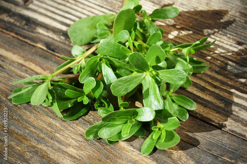 Fresh Green  common purslane  Portulaca oleracea  leaves on a wooden background..