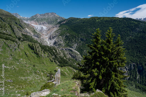 Fototapeta Naklejka Na Ścianę i Meble -  tongue of mighty Aletsch Glacier in Valais
