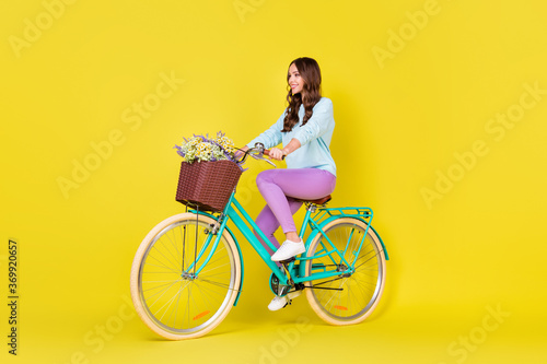 Fototapeta Naklejka Na Ścianę i Meble -  Full body size photo of stunning gorgeous student girl riding vintage pretty bike way home carry flowers wear blue pullover violet pants isolated vibrant yellow color background