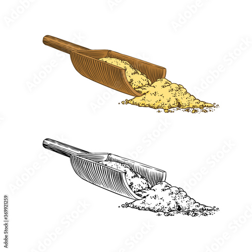 Ginger root spice, Chopped rhizome, Fresh plant ingredient. Vector Engraved hand drawn sketch. Pieces of ingredient set. Detox spice. 
