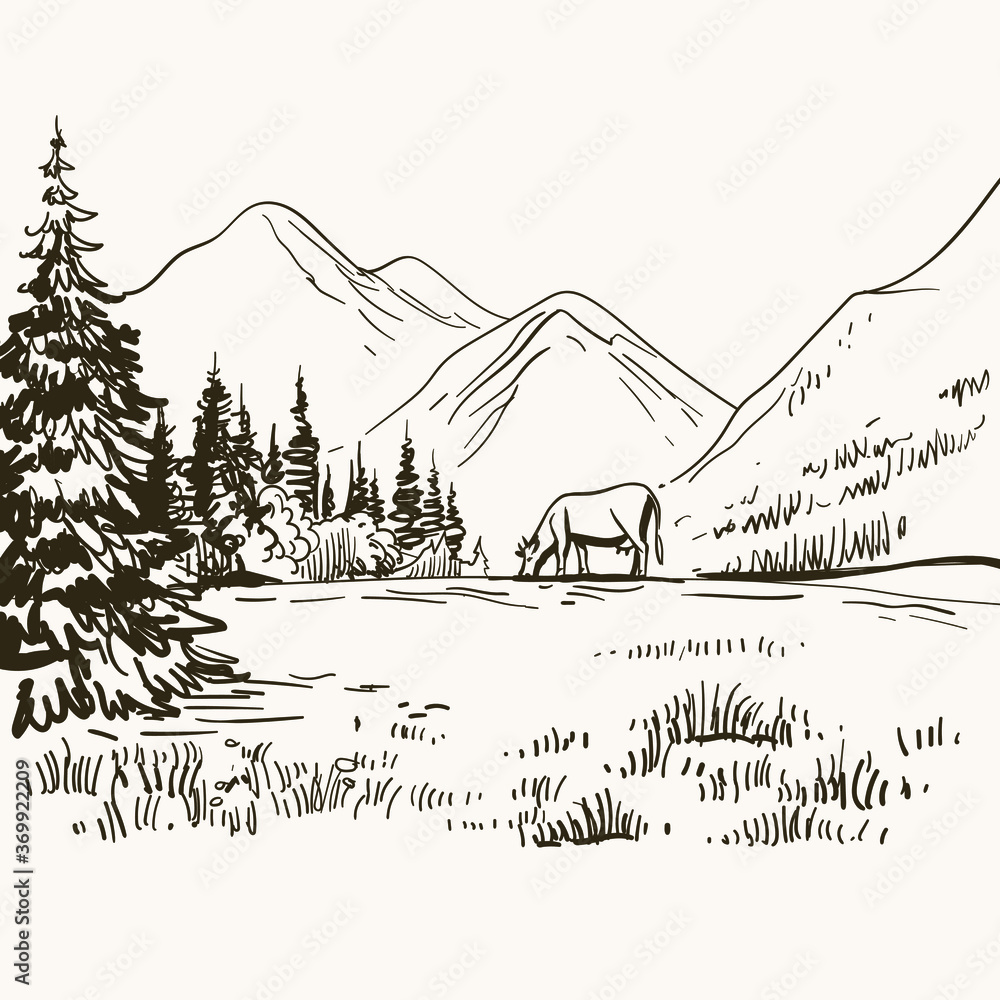 Alpine meadow landscape. Mountain view with cow on the grass. Hand drawn inking, graphic sketch, vintage etching. Stock vector illustration
