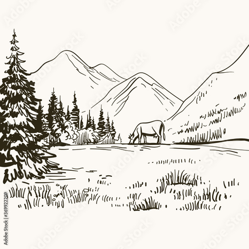 Alpine meadow landscape. Mountain view with cow on the grass. Hand drawn inking, graphic sketch, vintage etching. Stock vector illustration