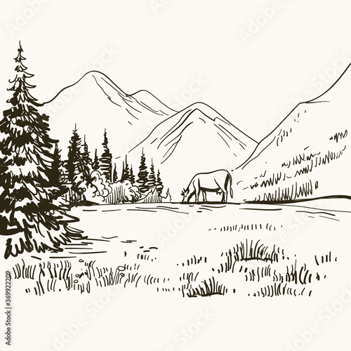 Alpine meadow landscape. Mountain view with cow on the grass. Hand drawn inking  graphic sketch  vintage etching. Stock vector illustration