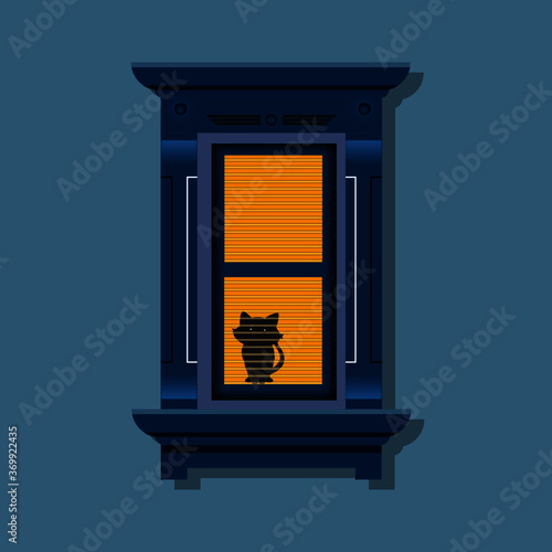 gattino alla finestra