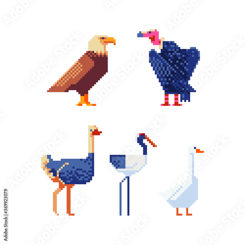 Birds pixel art set. Logo, stickers and embroidery design. Cartoon icon for children's mobile applications, book illustration. Eagle, kite, ostrich, duck and heron. Isolated vector.  