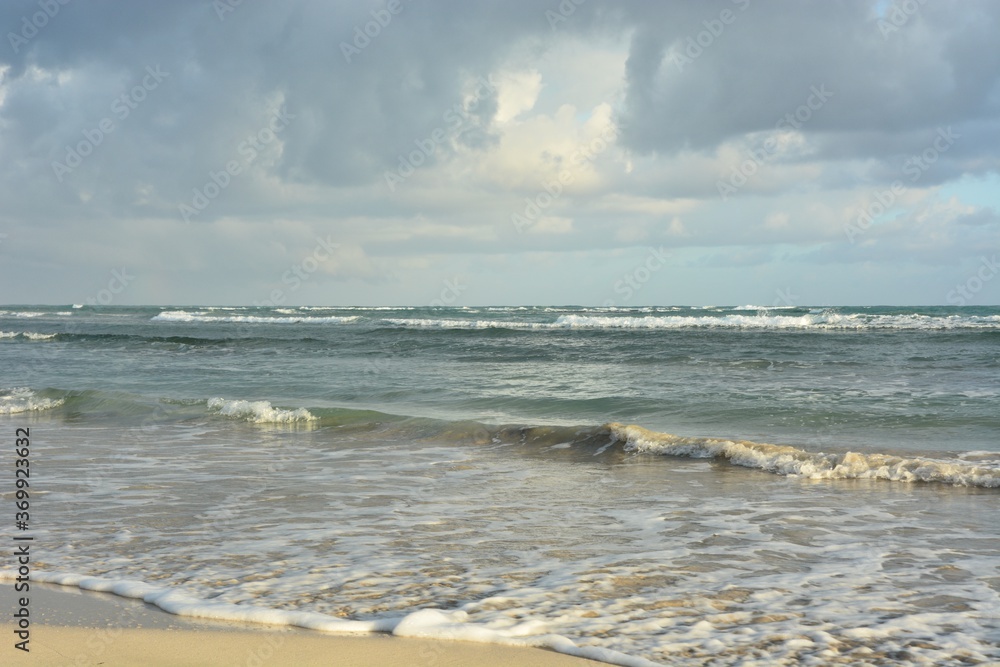 Fototapeta premium beach and sea