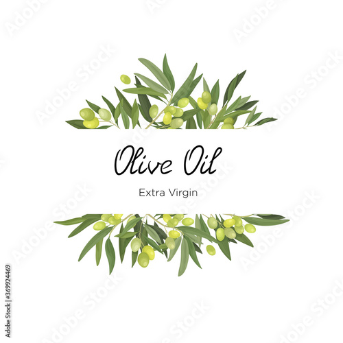 Vector illustration of a horizontal frame made of olive branches and fruits in a cartoon style. Olive frame for virgin oil, packaging and label and banner © Morgan Ph