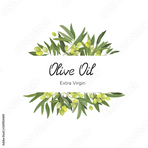 Vector illustration of a horizontal frame made of olive branches and fruits in a cartoon style. Olive frame for virgin oil, packaging and label and banner