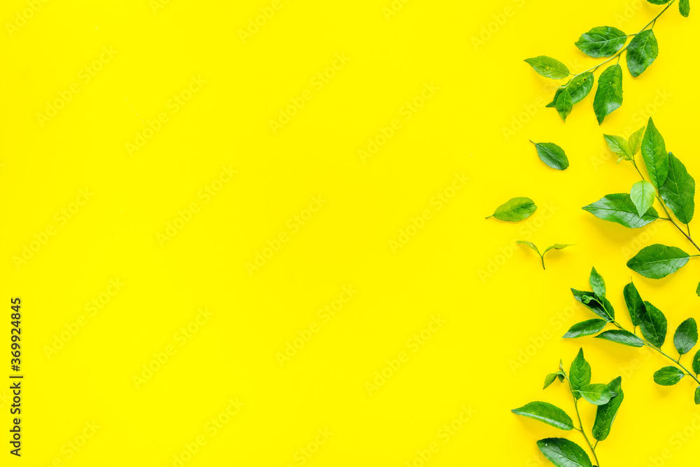 Green tree leaves pattern. Nature summer concept, above view, flat lay