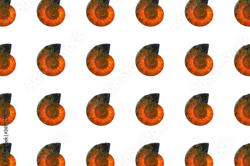Seamless pattern of fossils. Bright amber-colored ammonite shell, isolated on white background. Flat lay design. Fibonacci spiral.