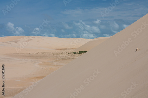 Sandy Landscape - Lencois Maranhenses - Maranhao - Brazil