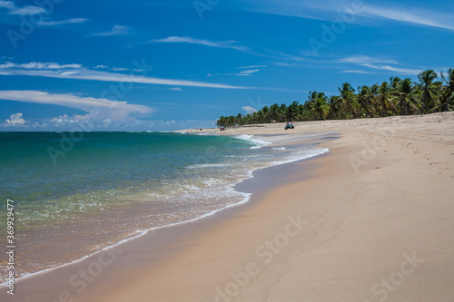 Gunga Beach - Alagoas - Maceio - Brazil