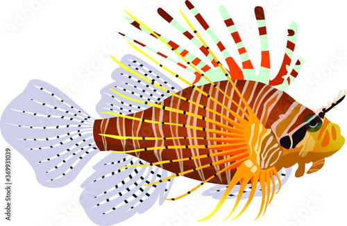 Vector illustration of a Zebra Lionfish