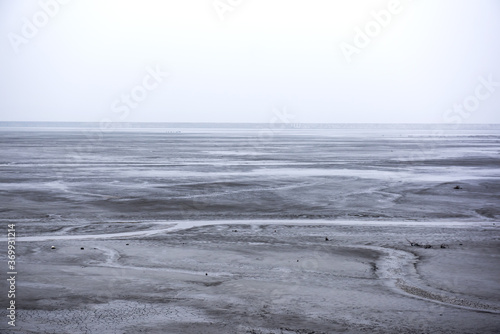 The beautiful and curious tidal mud flat.