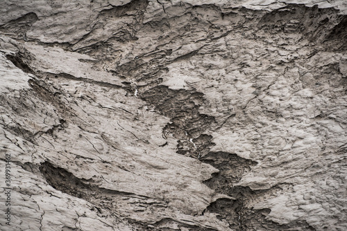 The beautiful and curious tidal mud flat.